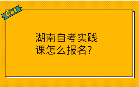 湖南自考实践课报名方式