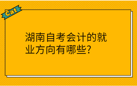 湖南自考会计的就业方向