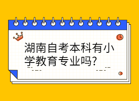 湖南自考本科有小学教育专业吗