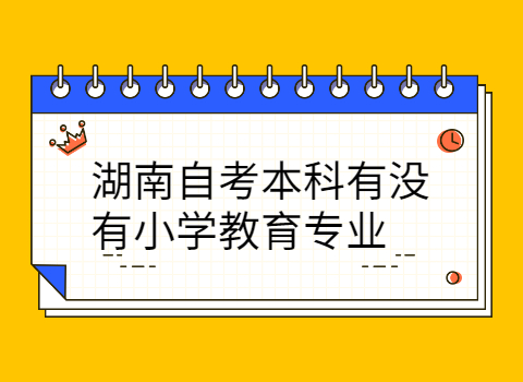 湖南自考本科有小学教育专业吗