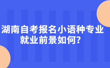 湖南自考报名小语种专业就业前景如何？