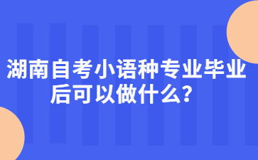 湖南自考小语种专业毕业后可以做什么？